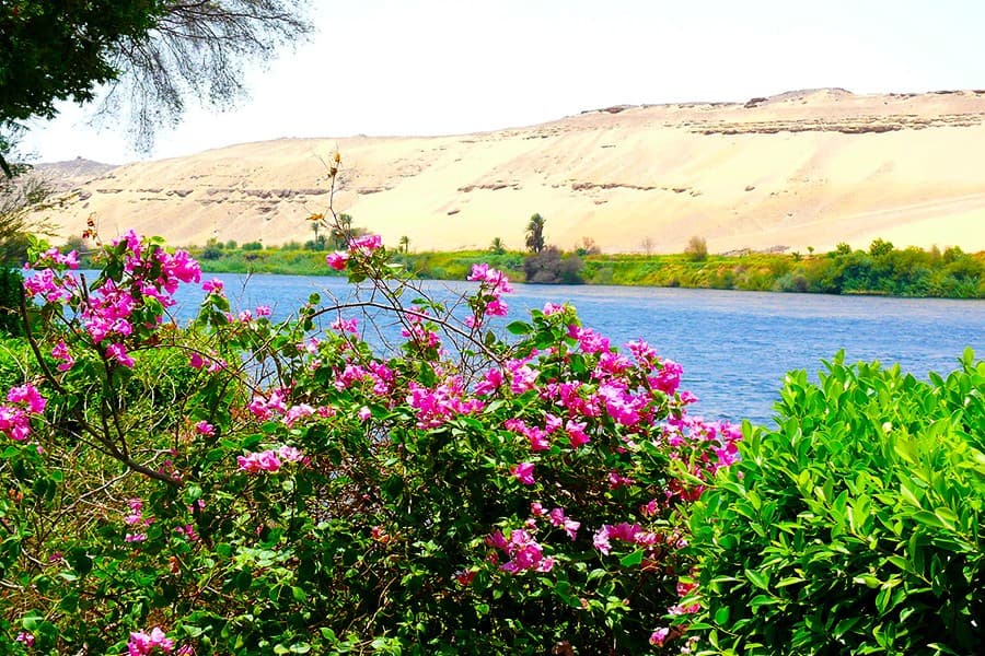 Excursao de Um Dia aos Templos de Abu Simbel a Partir de Aswan de Onibus