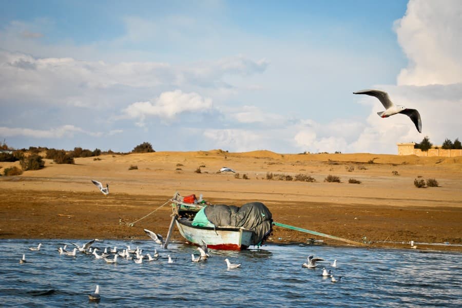 Excursao de Um Dia a Wadi Hitan e Wadi El Rayan