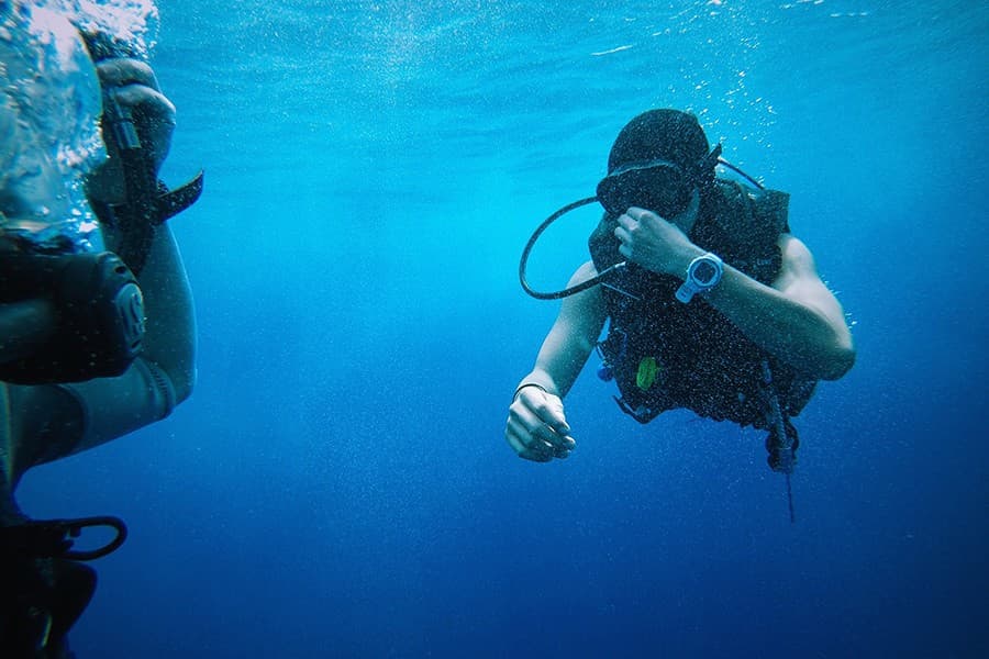 Excursao de Mergulho e Snorkel em Ras Mohamed Sharm El Sheikh