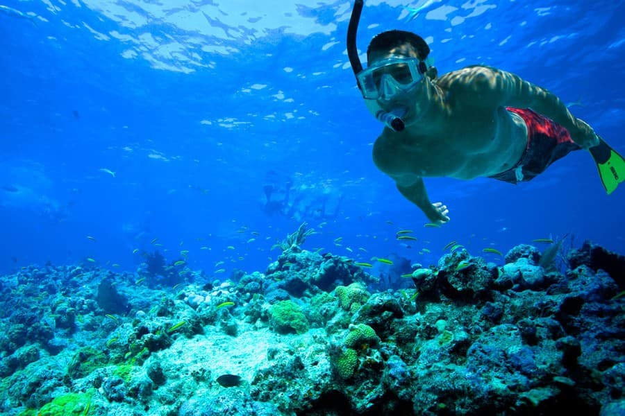 Excursao de Mergulho e Snorkel em Ras Mohamed Sharm El Sheikh