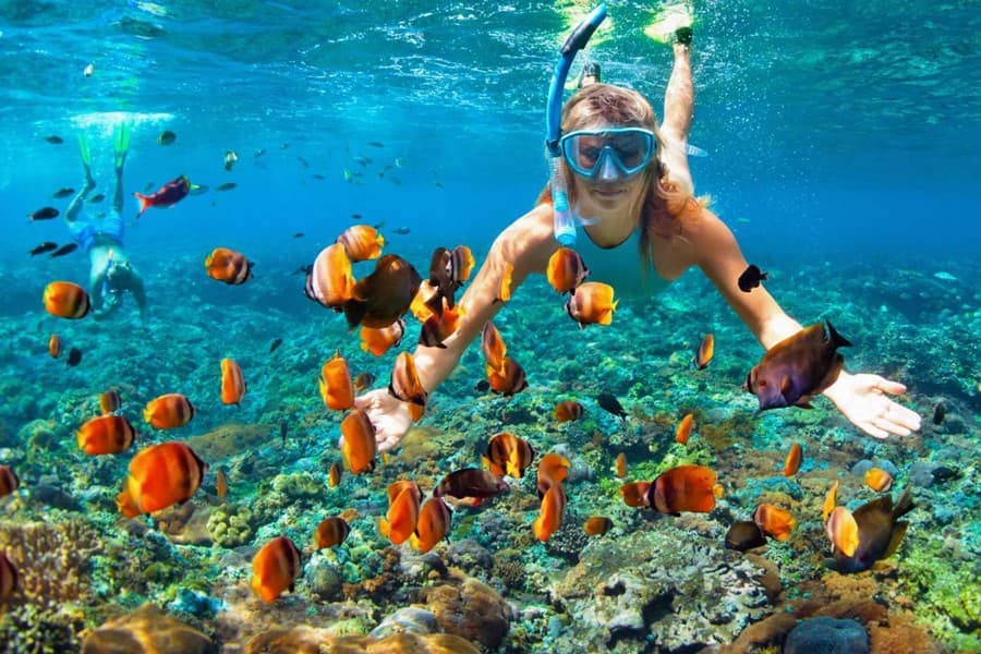 Excursao de Mergulho e Snorkel em Ras Mohamed Sharm El Sheikh