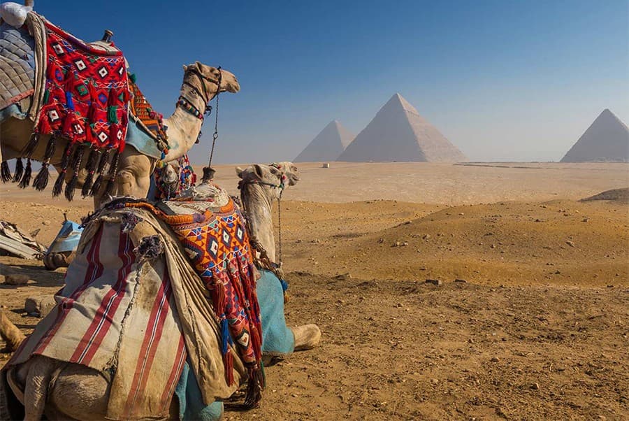 Maravilhas dos Faraós no Cairo Excursão de 1 Dia a Partir de Luxor de Avião