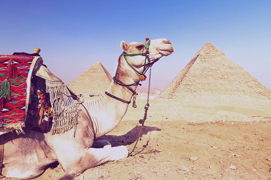 Excursao as Piramides de Giz sucede e Sakkara a partir do Porto de Alexandria