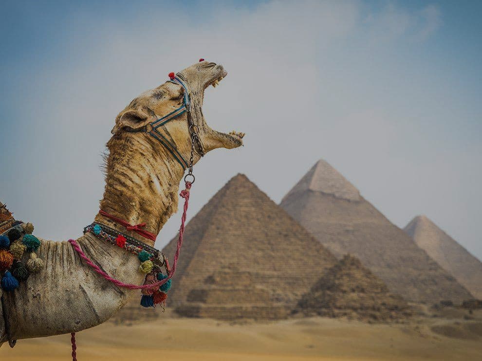 Principais Atrações do Cairo a partir do Porto de Ain Sokhna