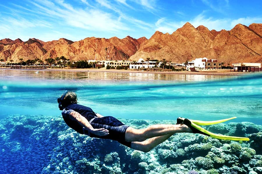 Excursão de Mergulho e Snorkel em Ras Mohamed a partir do Porto de Sharm El Sheikh