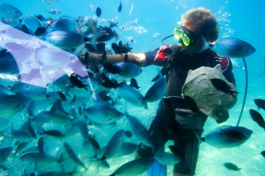 Excursões de Mergulho com Snorkel em Ácaba, Jordânia