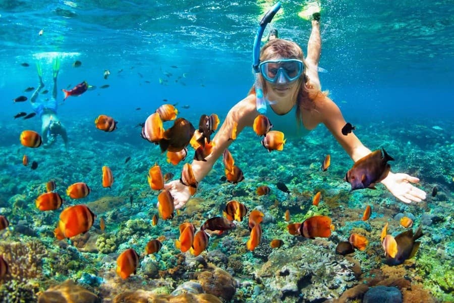 Excursões de Mergulho com Snorkel em Ácaba, Jordânia