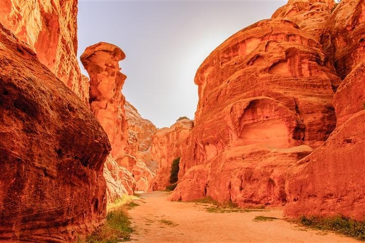 Excursão a Petra a partir do Porto de Aqaba