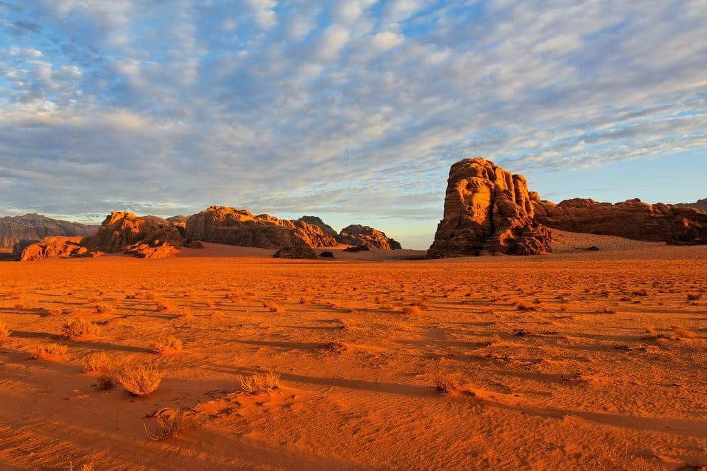 Excursão a Petra a partir do Porto de Aqaba