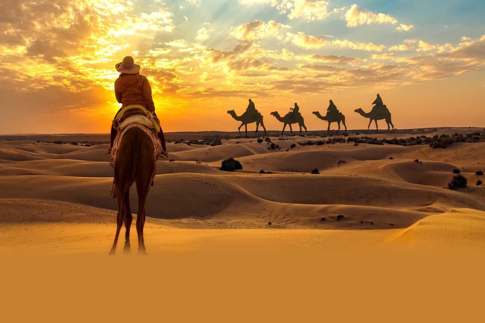 Excursão de Safári de Luxo em Dubai