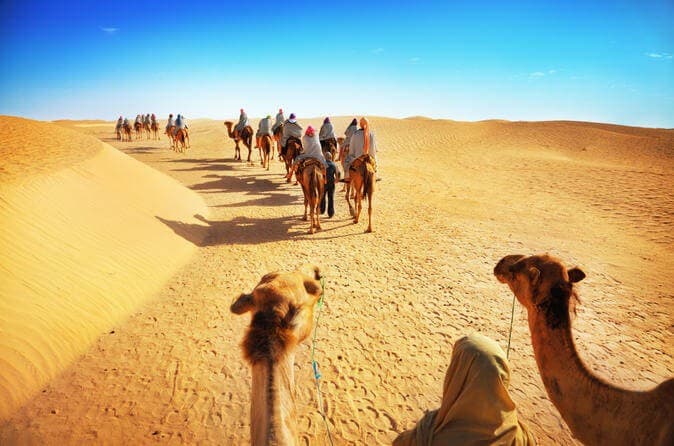 Excursão de Safári de Luxo em Dubai