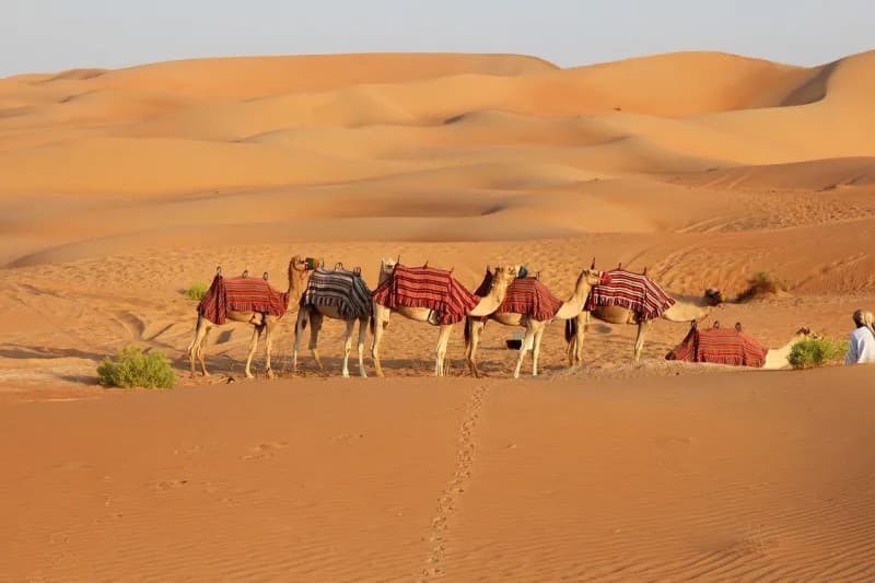 Excursão de Safári de Luxo em Dubai