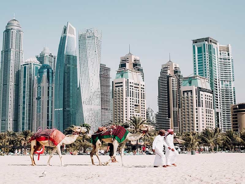 Excursão Turística pela Cidade de Abu Dhabi