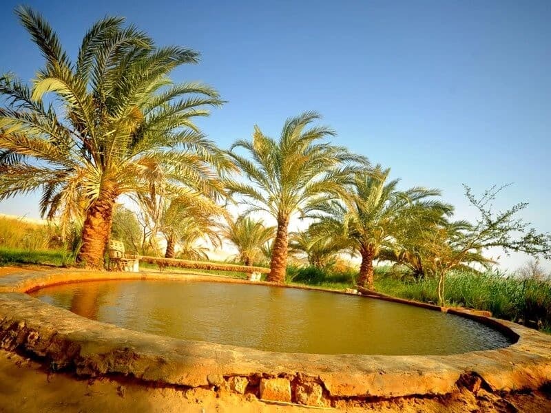 Pacote de Viagem Safari no Oásis de Bahariya