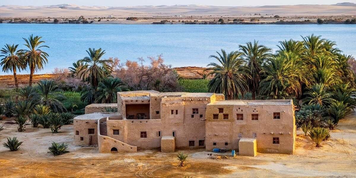 Excursao de 1 Dia para o Oasis de Bahariya