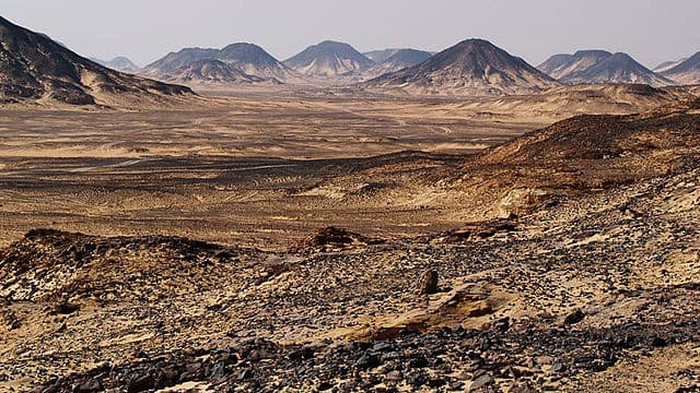 Excursao de 1 Dia para o Oasis de Bahariya