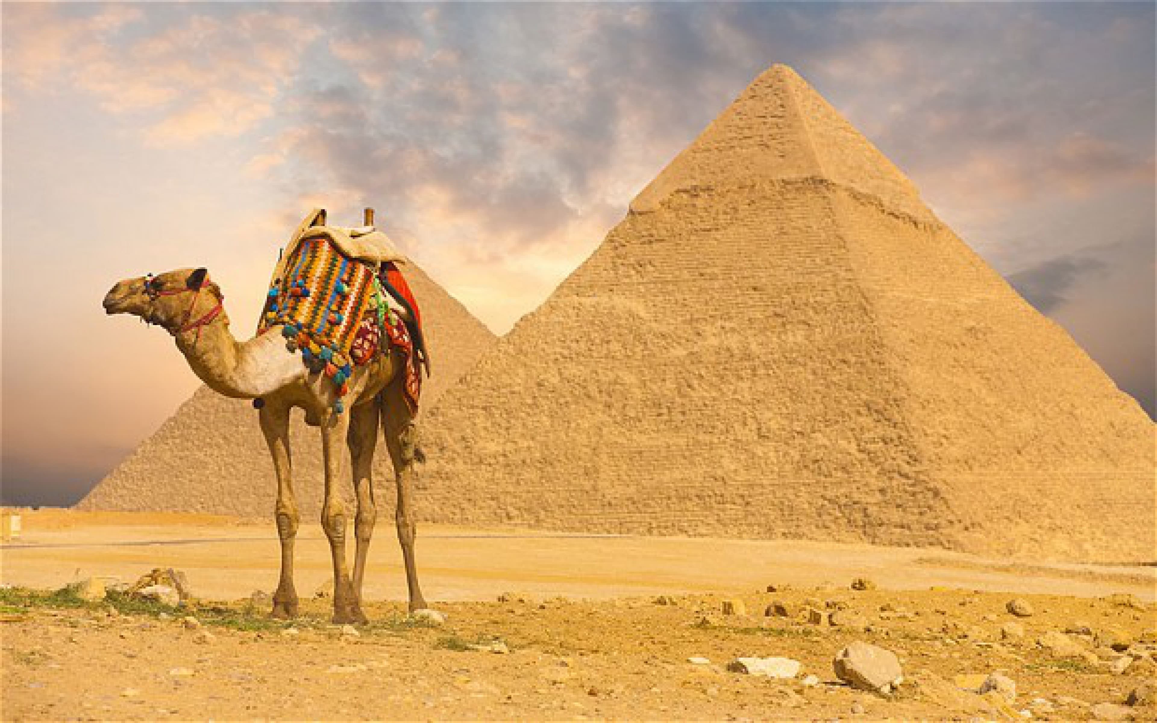 Excursao ao Egito (Cairo e Luxor) 2 Dias e 1 Noite
