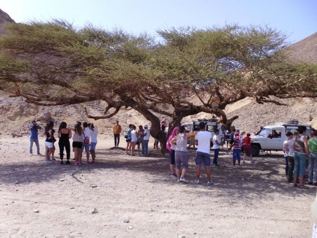 Churrasco Beduíno no Deserto Egípcio de 4x4 a partir de Hurghada