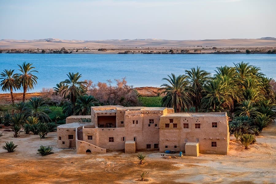 Safari em Siwa por 3 Dias
