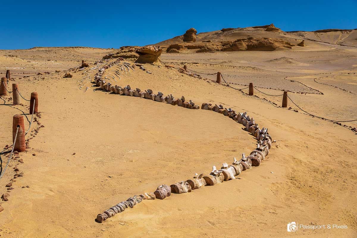 Excursão de 2 dias a El Fayoum