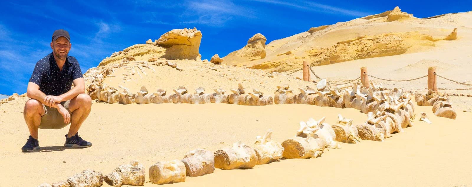 Facts about Wadi Al Hitan