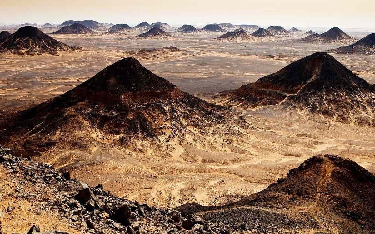 Black and White Desert