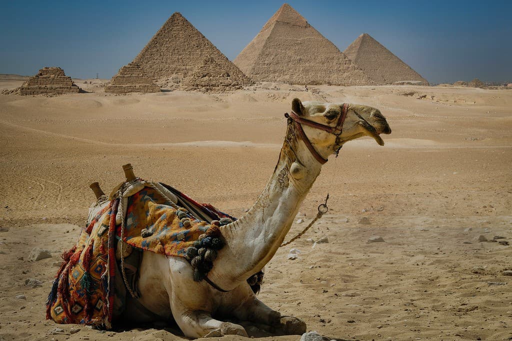 Principais Atrações do Cairo a partir de Sharm el-Sheikh de Avião