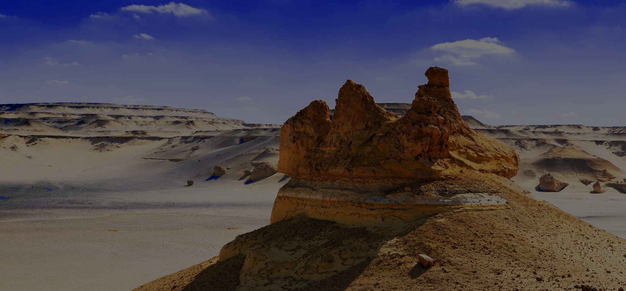 Excursao de Um Dia a Wadi Hitan e Wadi El Rayan