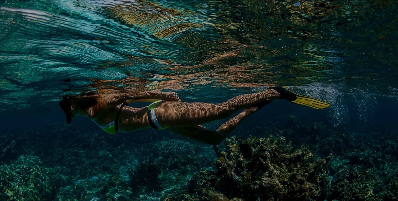 Excursão de Mergulho e Snorkel em Ras Mohamed a partir do Porto de Sharm El Sheikh