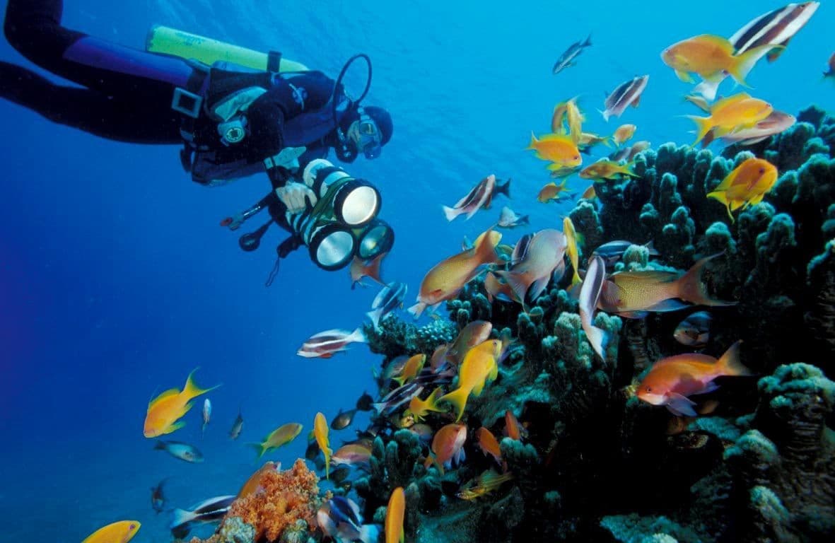 Excursões de Mergulho com Snorkel em Ácaba, Jordânia