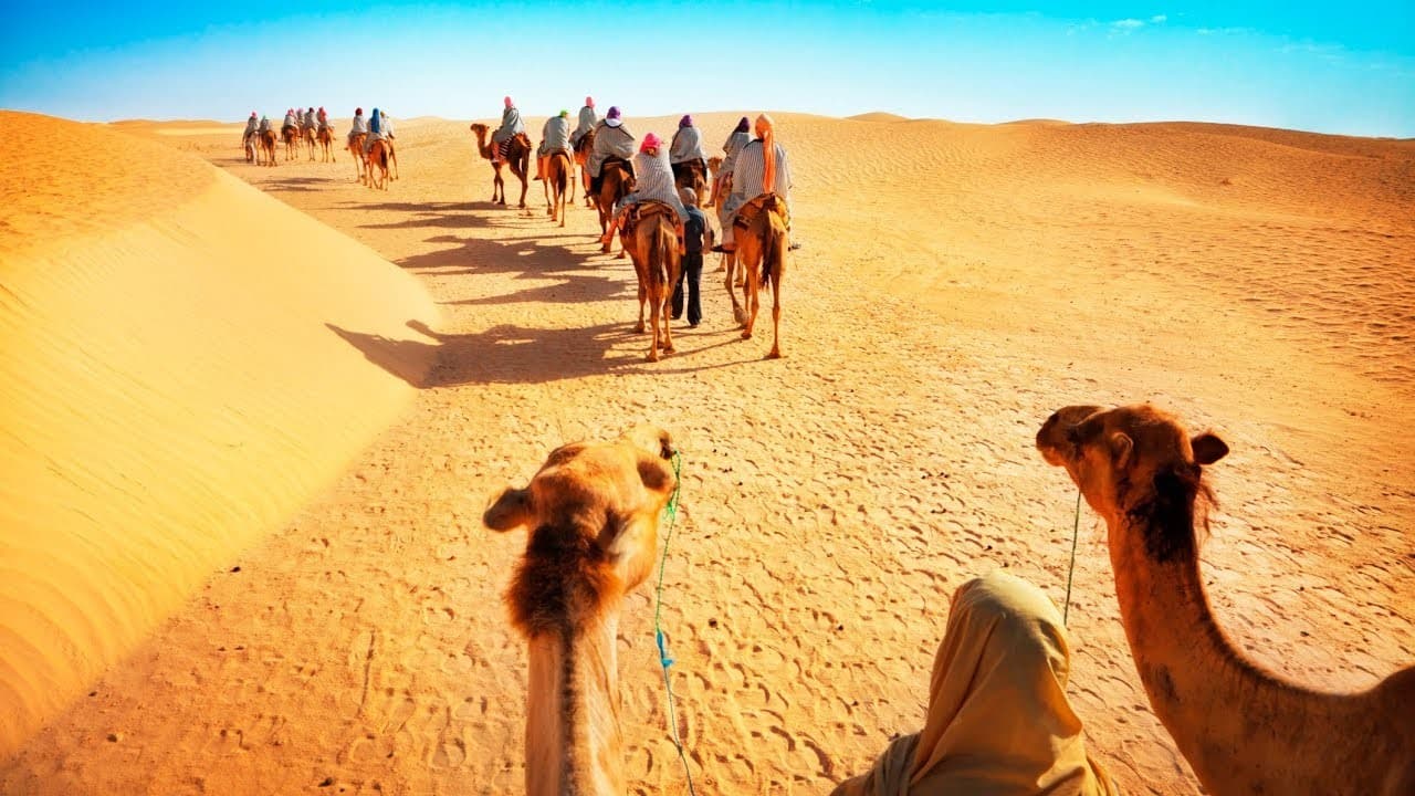 Excursão de Safári de Luxo em Dubai