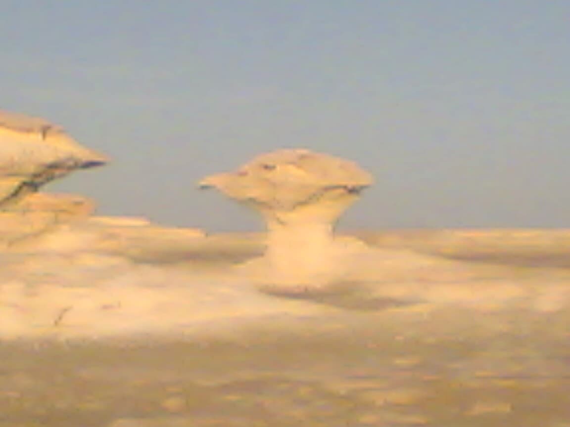 Excursão de 2 dias ao Oásis de Bahariya e Deserto Branco a partir do Cairo