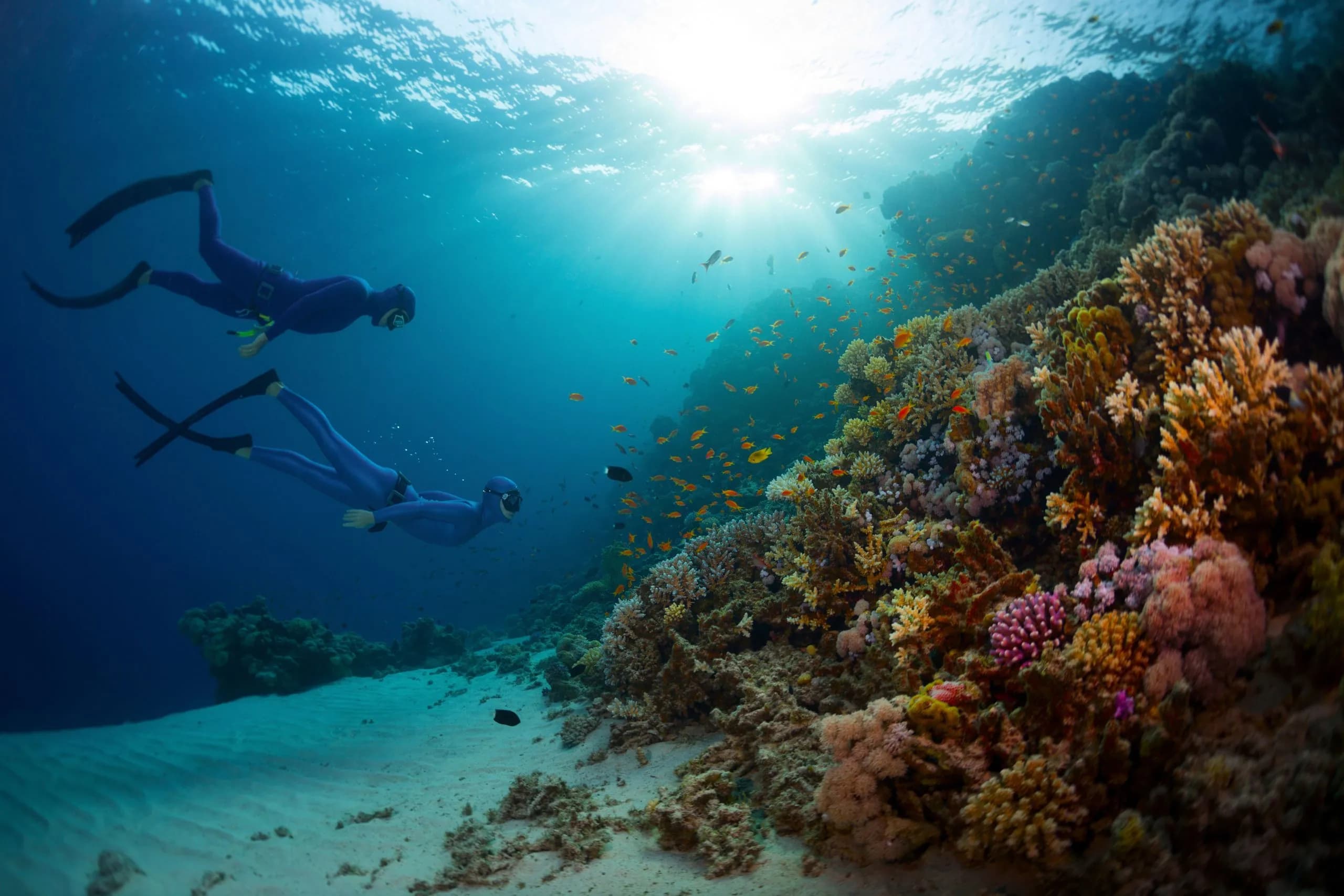 Tour di snorkeling ad Aqaba